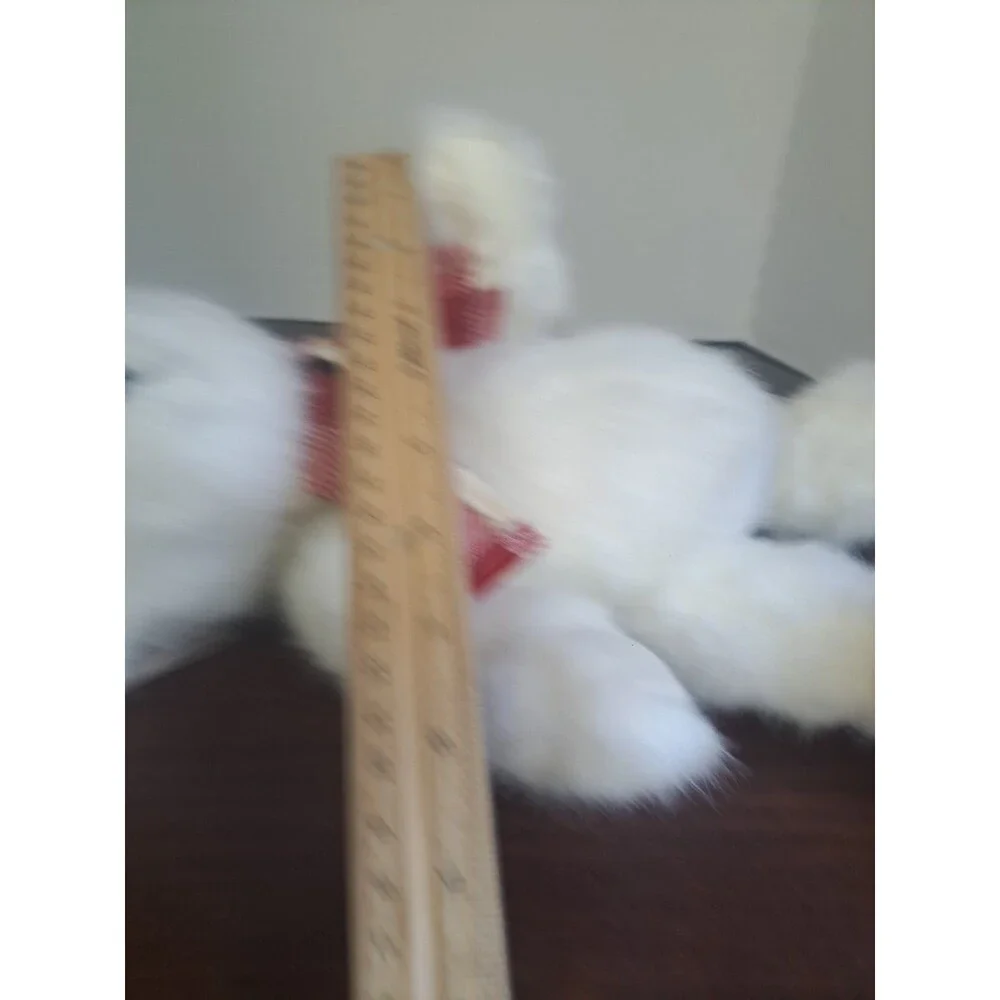 2005 Boyds Bears The Head Bean Collection Conway T. Woolsbeary 14inch Plush